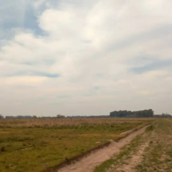 Terrenos de 100 x 100 zona rural pdo. San Vicente PREVENTA