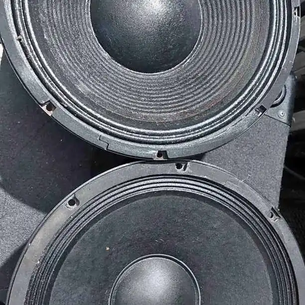 Par de parlantes 12
