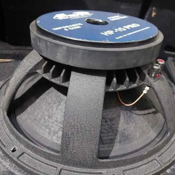 Parlante woofer 15 pulgadas Gbr 600 rms!