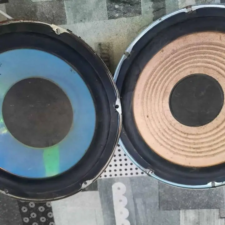 Vendo 2 woofer sony de 10 pulgadas