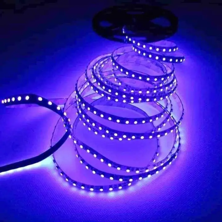 Rollo LED ultravioleta 24v