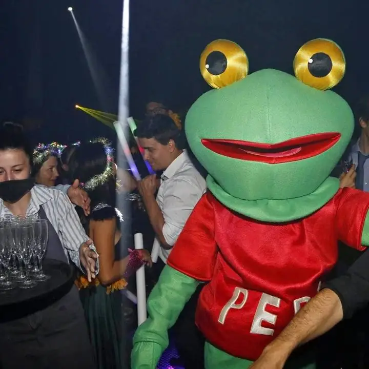 Alquiler disfraz sapo Pepe