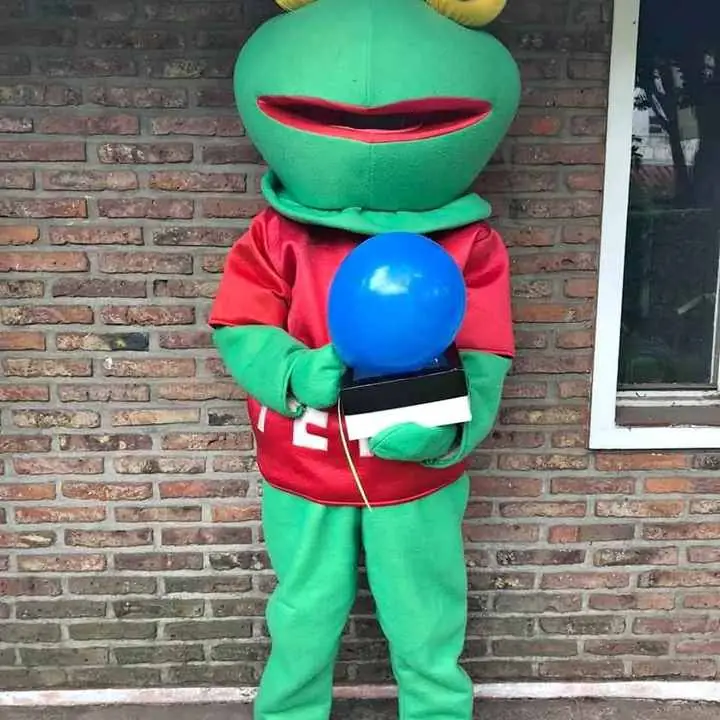 Alquiler disfraz sapo pepe