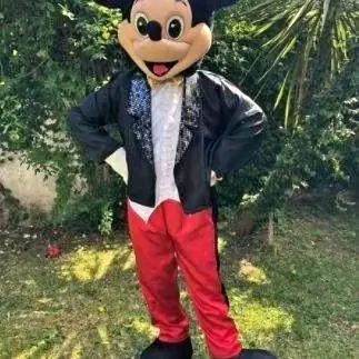 Alquiler difraz mickey