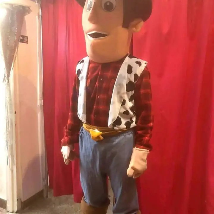 Disfraz woody por día