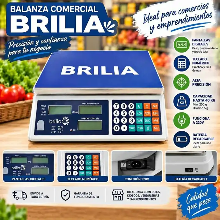 Balanza comercial brilia