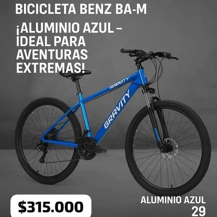 Bicleta rodado 29