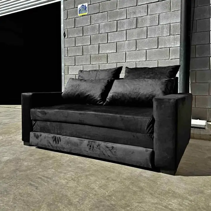 Sofá cama 2 plazas + 4 almohadones