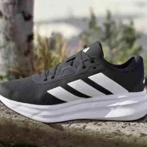 Zapatillas deportivas