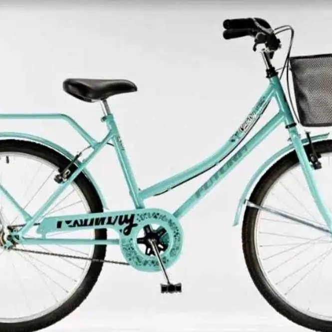 Bicicleta country paseo dama rodado 26 con canasto