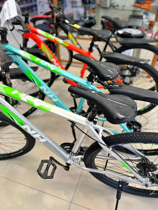 Bicicleta bull R29
