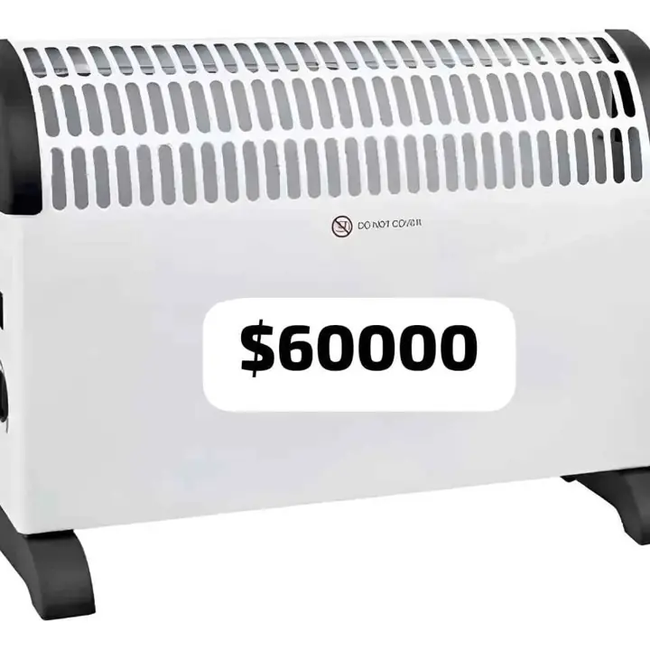 Calefactor eléctrico de tipo convector