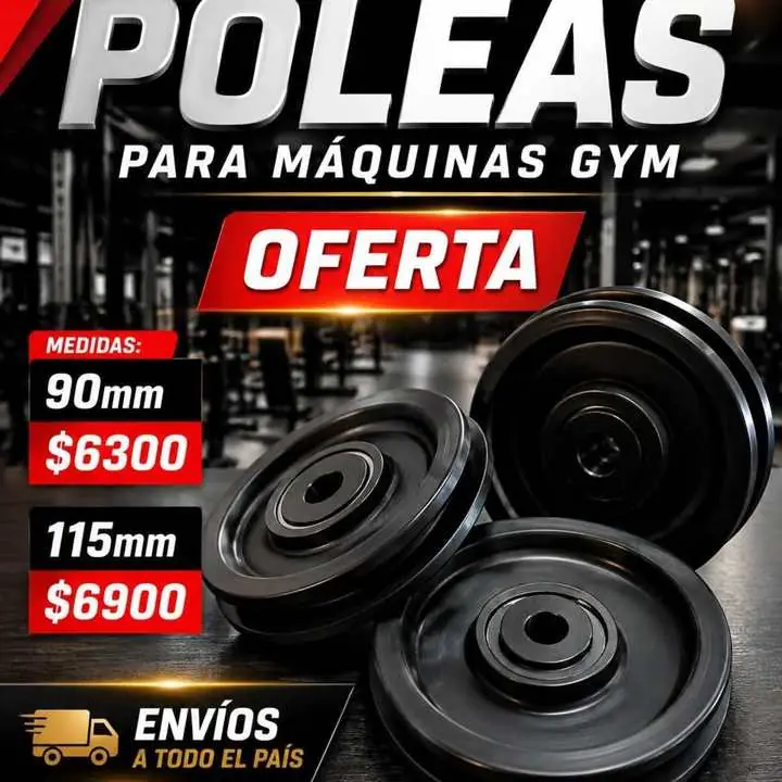 Poleas gym