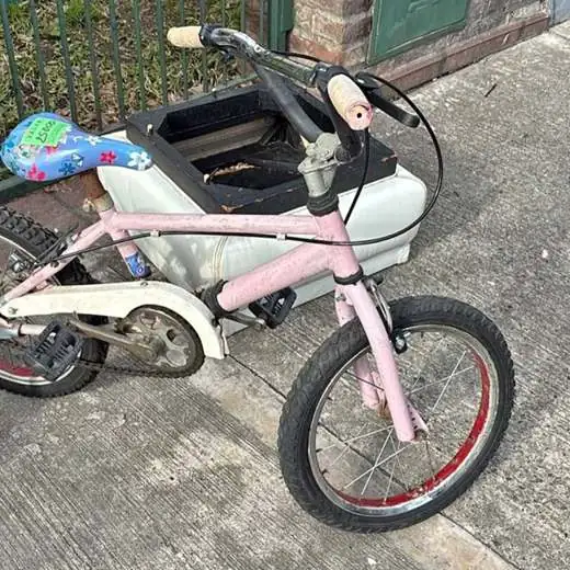 Bicicleta niña