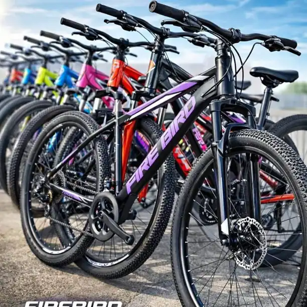 Bici firebird acero R29 (Solo rodado 29)