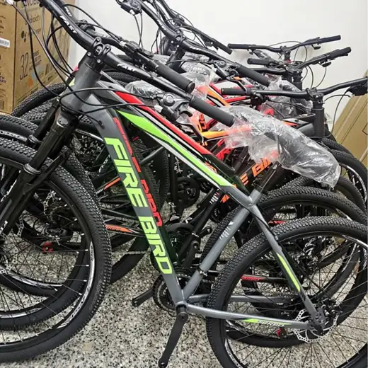 Bici fire bird R29 (solo rorado 29)