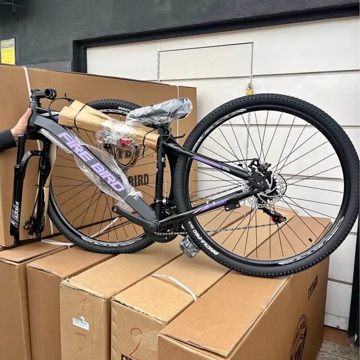 Bici fire bird R29 (Dama)