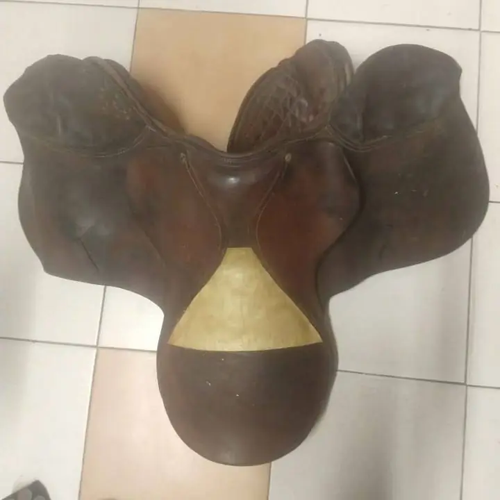 Montura de caballo
