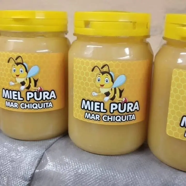 Miel de abeja pura de Mar Chiquita 1/2kg