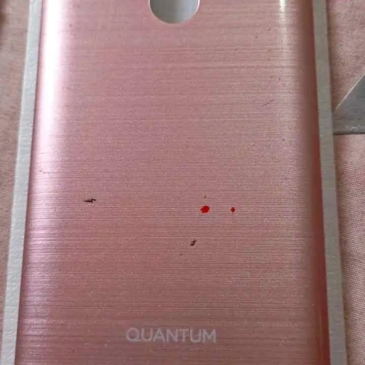 Quantum fit QF73 tapa
