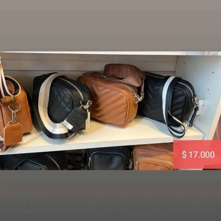 Carteras & más. Nuevos ingresos julio 2024