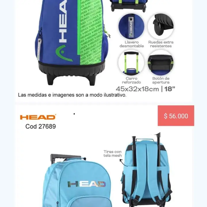 Mochilas con carro. Enero 2026