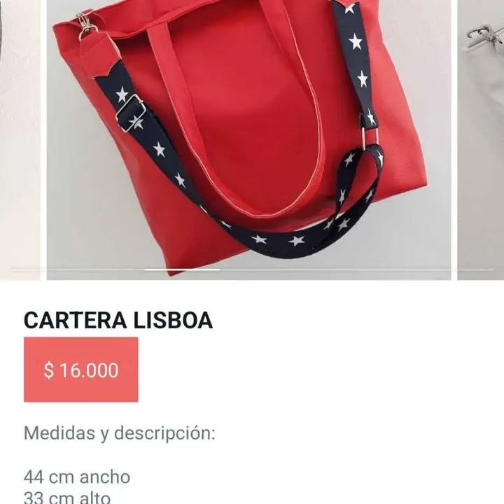Carteras & bolsos. Liquidación x viaje. Marzo 24