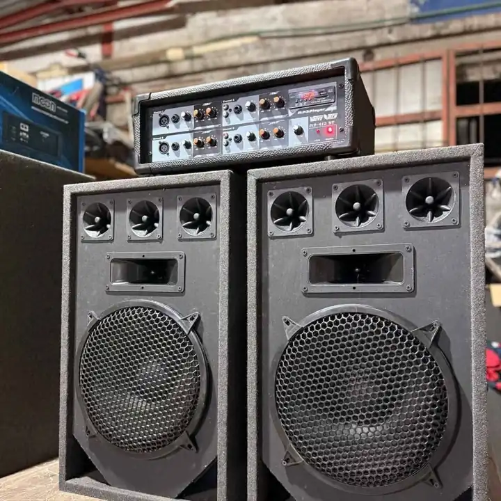 Venta de sonido 12 pulgadas
