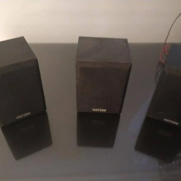 Parlantes watson