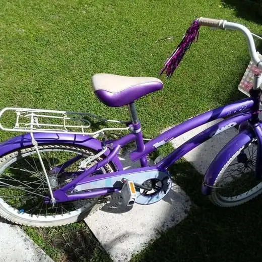 Bicicleta olmo