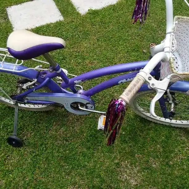 Bicicleta olmo rodado 20