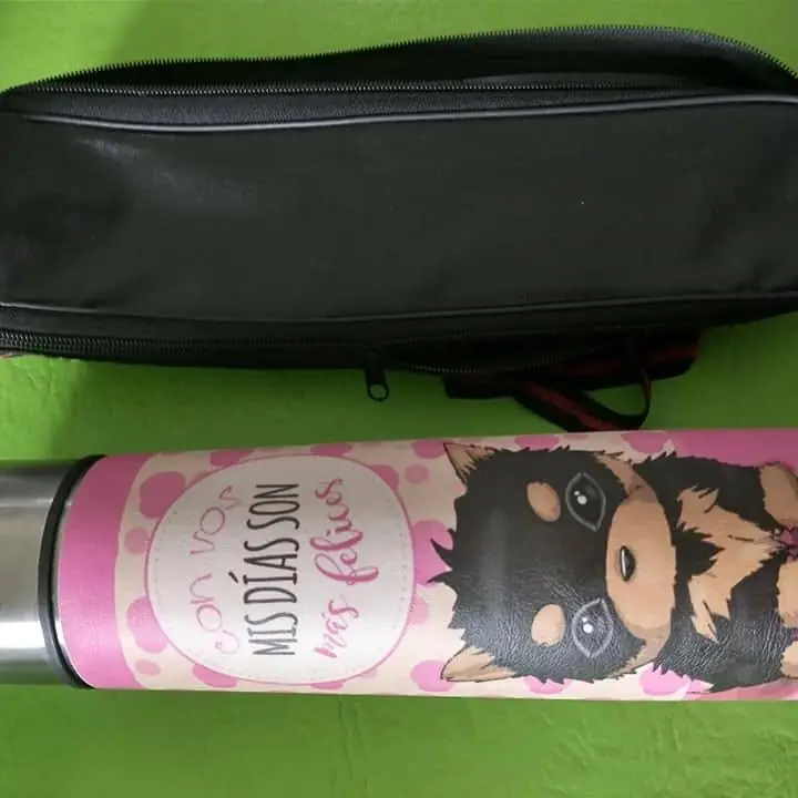 Termo de acero