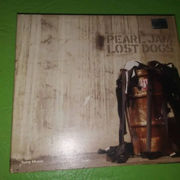 Pearl jam lost dogs