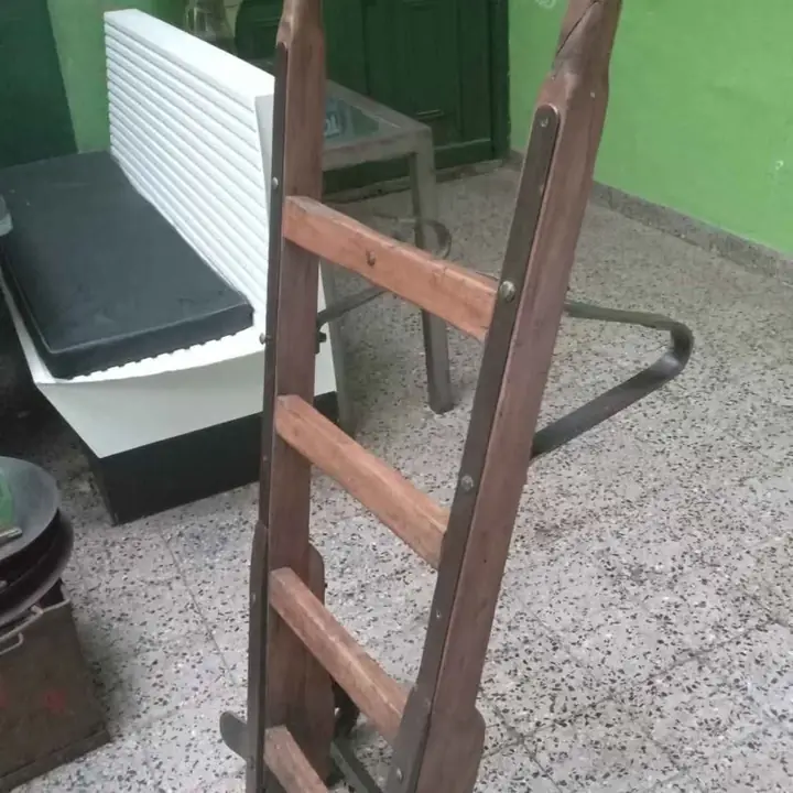 Zorra carro ferrocarril