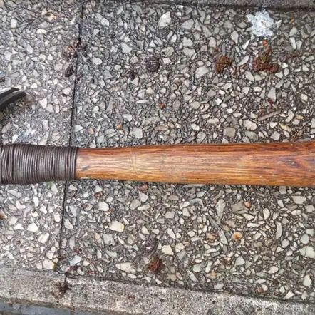 Martillo papagayo