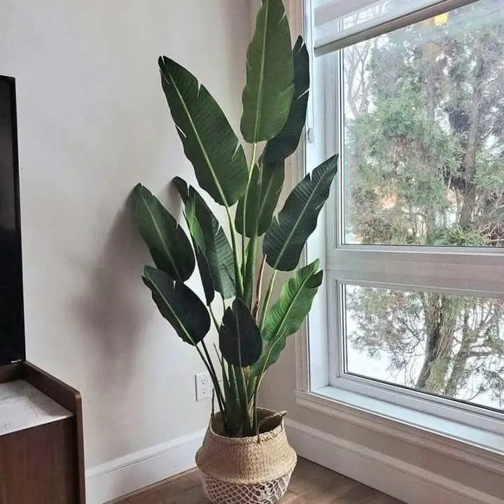 Plantas artificiales Calidad Premium