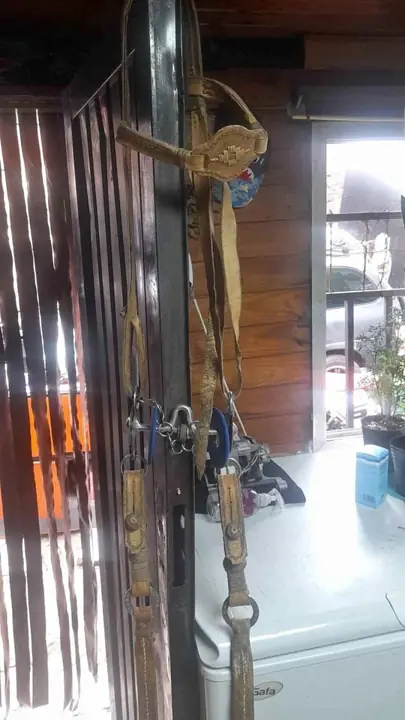 Juego de sogas campera