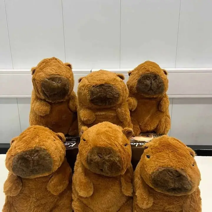 Peluches capybara 23cm $11,000 oferton envios zona merlo alredederos