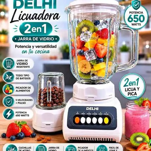 Licuadora Delhi 2 en 1 $38,000 Merlo Pontevedra