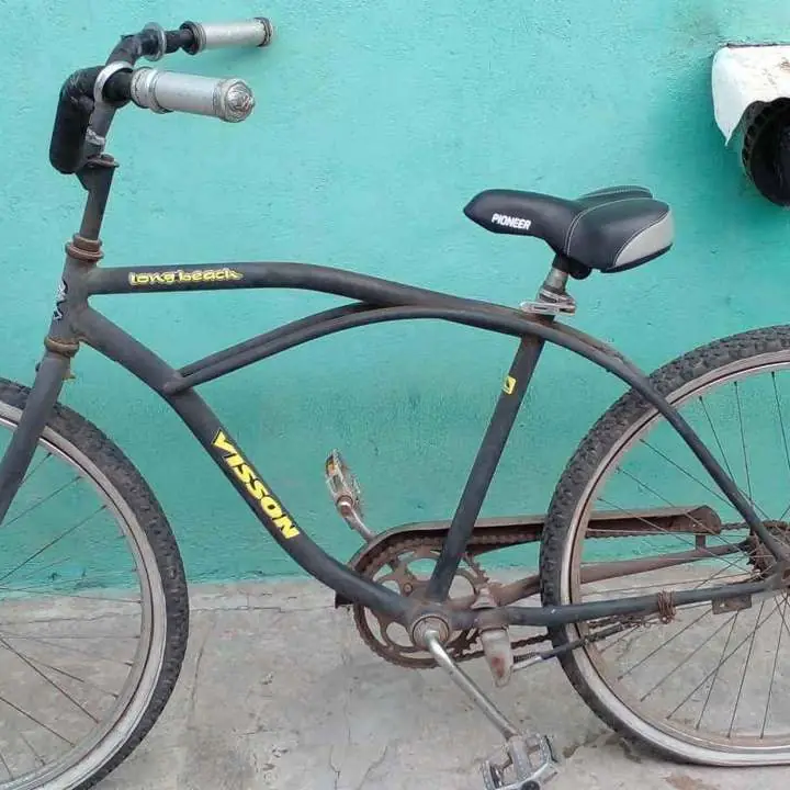 Bicicleta playerq