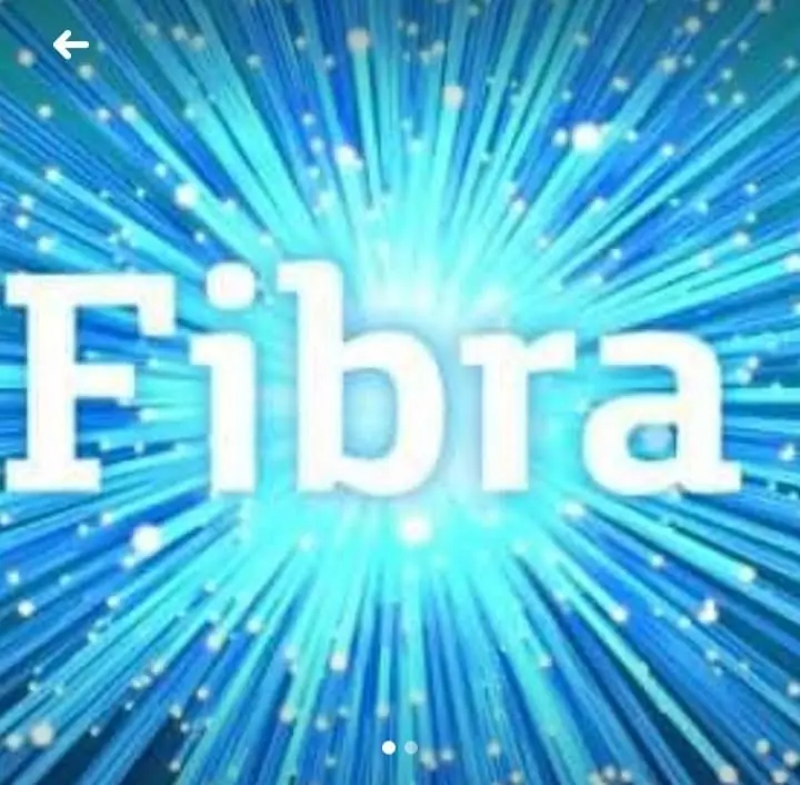 Fibra optica
