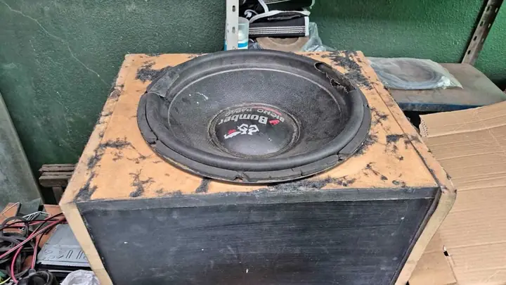 Bicho de 15 800rms triple iman