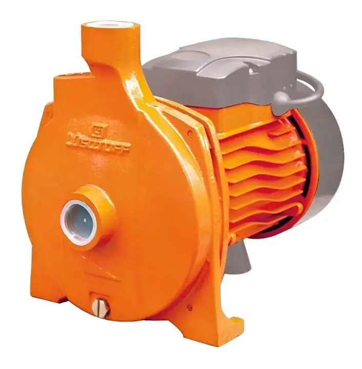 Bomba centrifuga 1HP - 750W lusqtoff