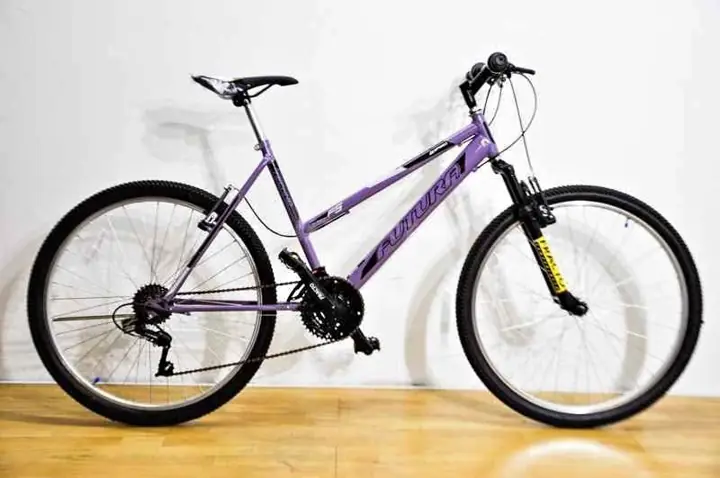 Bicicleta rodado 29 techno dama