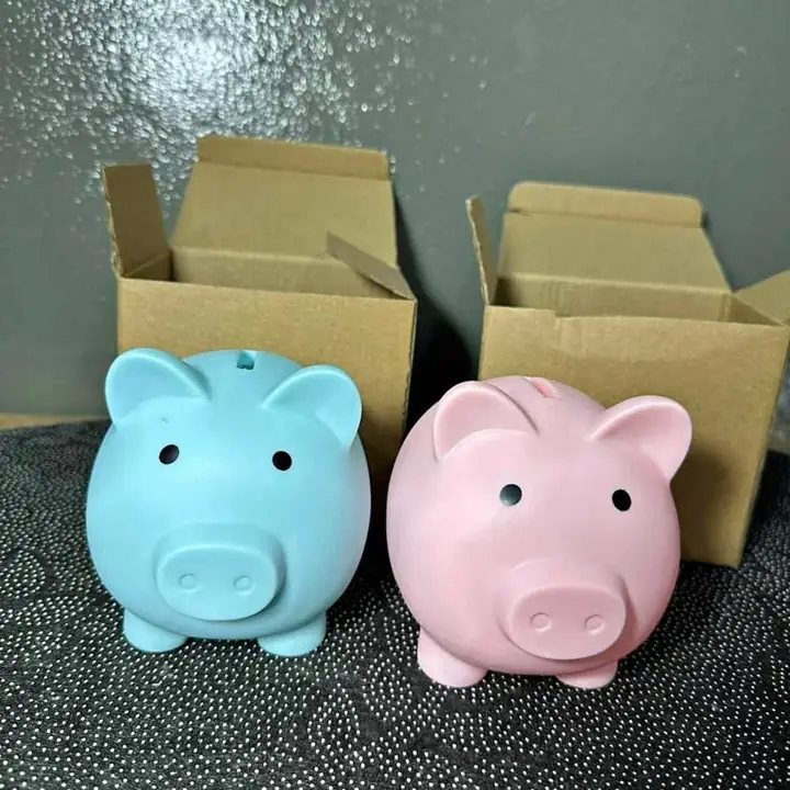Alcancia chanchito para niños PVC