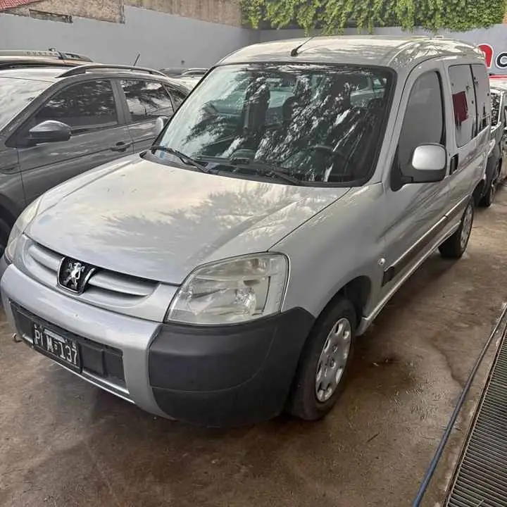 Partner patagonica 1.4 (2016)