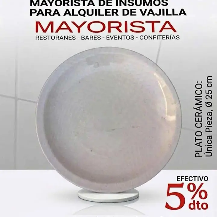 Platos porcelana x mayor
