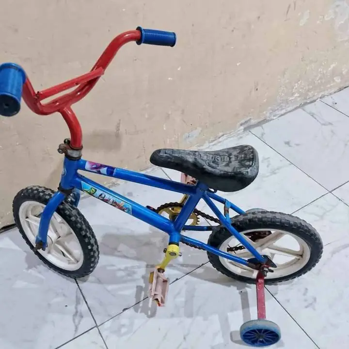 Bicicleta rodado 12