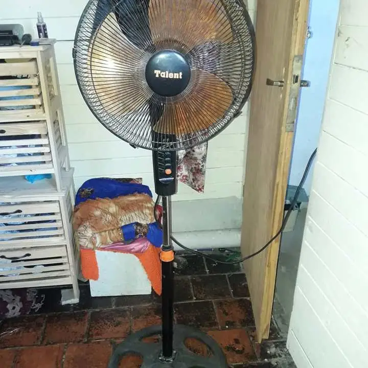 Ventilador