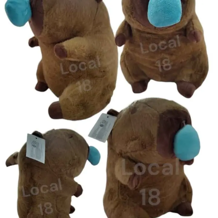 Capybara